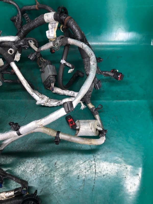 Проводка подкапотная DURANGO 11- (WD) 2014 3.6 ERB