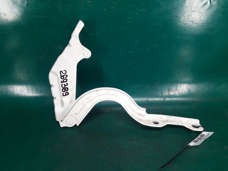 Петля капота правая KIA SEDONA 14-18 16 YP 3.3 G6DM 79120-A9000 Б/У