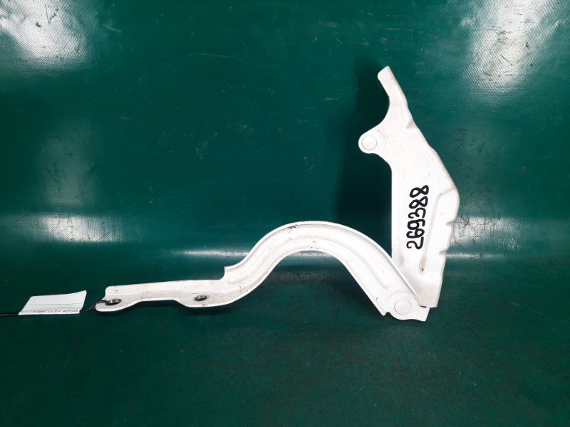 Запчасть петля капота левая KIA SEDONA 14-18 16 YP 3.3 G6DM 79110-A9000 Б/У Петля капота левая KIA SEDONA 14-18 16 YP 3.3 G6DM 79110-A9000 Б/У