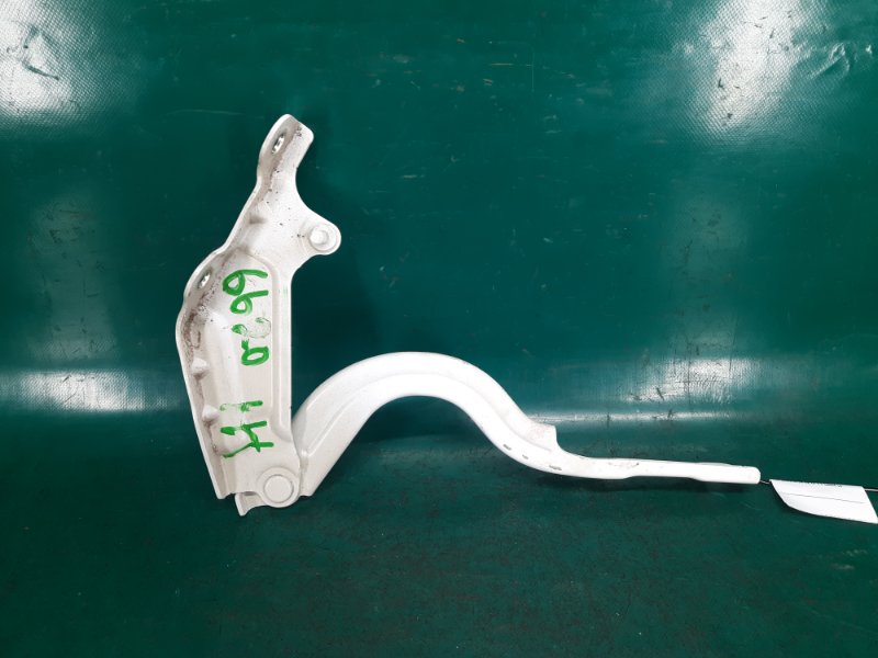 Петля капота левая KIA SEDONA 14-18 YP 3.3 G6DM Петля капота левая KIA SEDONA 14-18 YP 3.3 G6DM