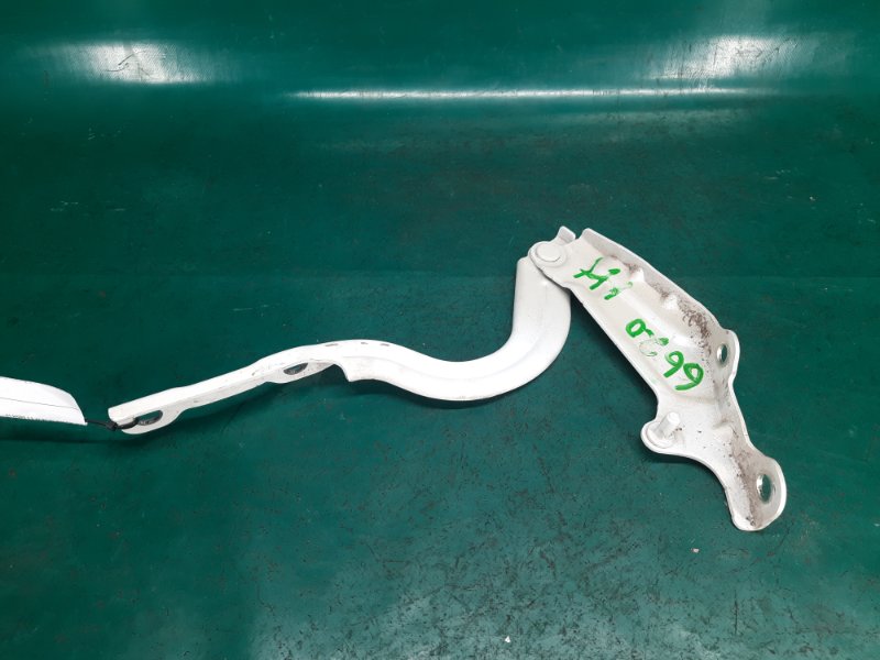 Петля капота левая SEDONA 14-18 16 YP 3.3 G6DM Петля капота левая SEDONA 14-18 16 YP 3.3 G6DM