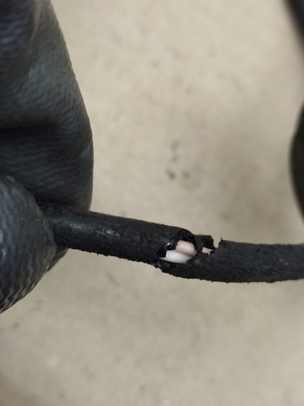 Датчик ABS передний правый MURANO Z50 02-07 2004 3.5 VQ35DE Датчик ABS передний правый MURANO Z50 02-07 2004 3.5 VQ35DE