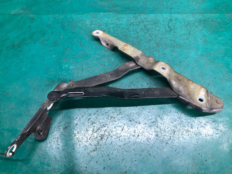 Петля крышки багажника правая AVENGER 07-14 2013 JS 2.4 ED3