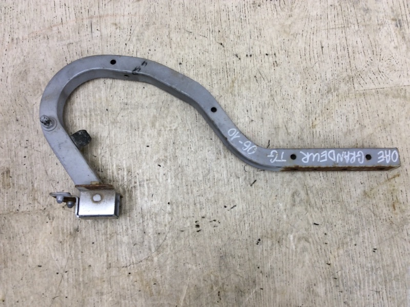 Петля крышки багажника правая GRANDEUR 05-11