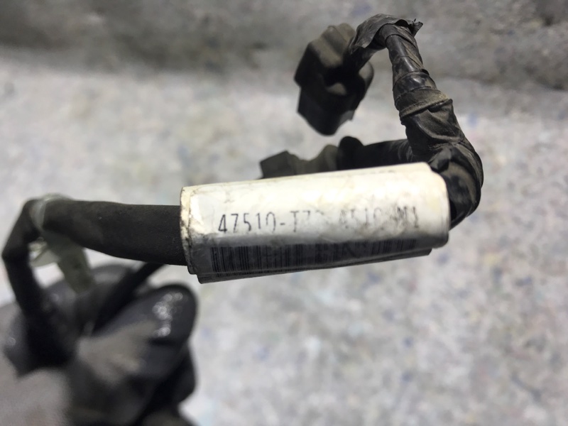 Провод датчика ABS задний TLX 17-20 2019 2.4L