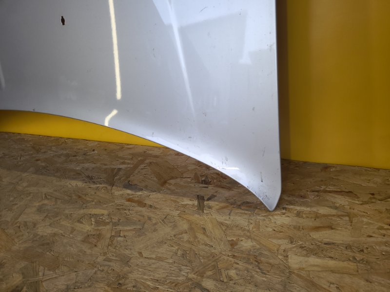 Капот 300 04-10