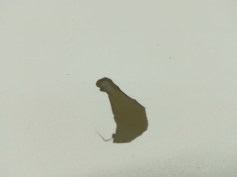 Крышка багажника OPTIMA TF 11-16