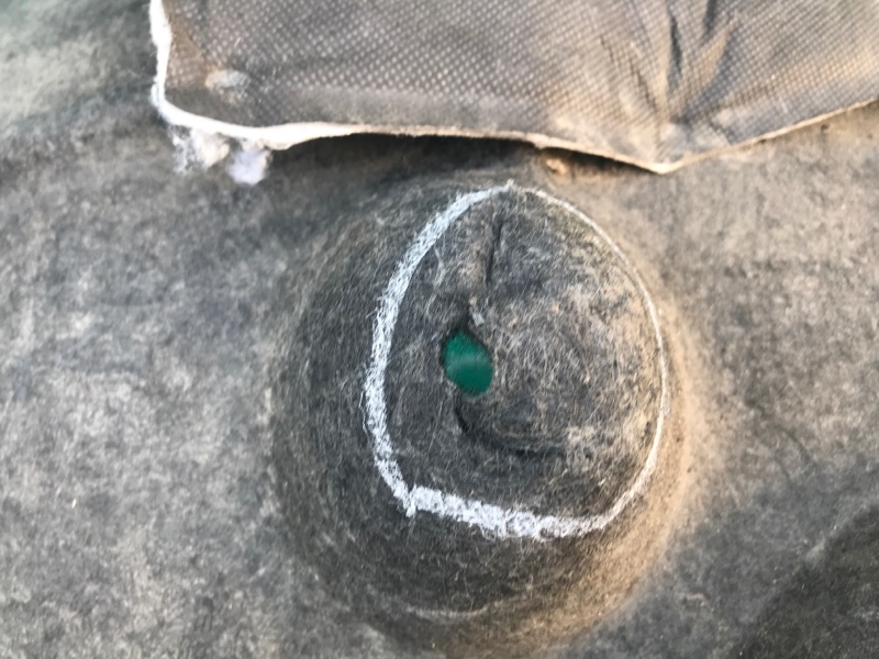 Подкрылок задний правый TLX 14-17