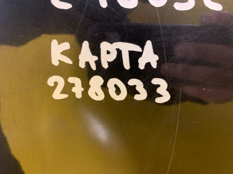 Карта двери задняя левая LEAF 18-