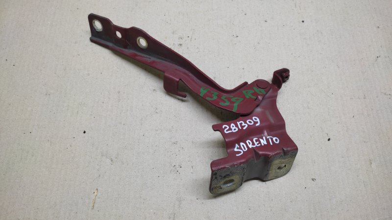 Запчасть петля капота передняя правая KIA SORENTO XM 09-14 2009 2.4 79120-2P000 Б/У Петля капота передняя правая KIA SORENTO XM 09-14 2009 2.4 79120-2P000 Б/У