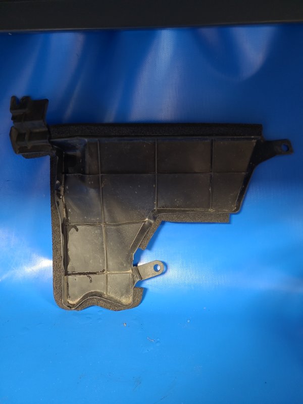 Дефлектор радиатора правый LEAF 10-17