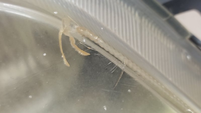 Фара правая LANCER 4/5/6/7/8 88-02