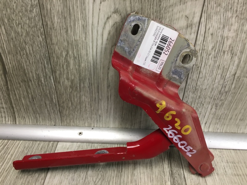 Петля капота правая JETTA USA 10-17 2011 Седан CBTA 2.5L