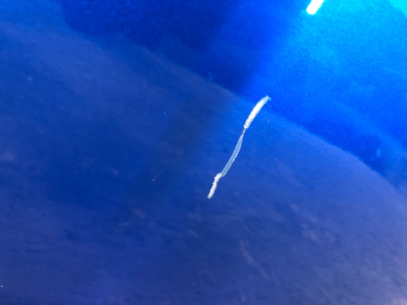 Дверь передняя правая LEAF 18-