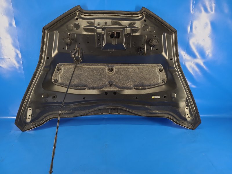 Капот LEAF 10-17