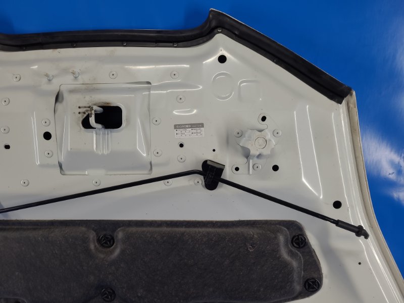 Капот LEAF 10-17