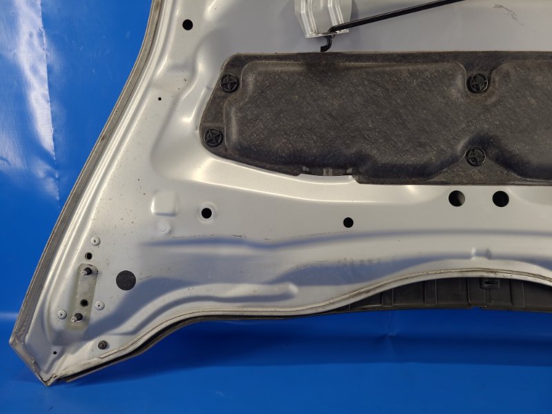 Капот LEAF 10-17