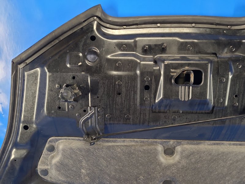 Капот LEAF 10-17