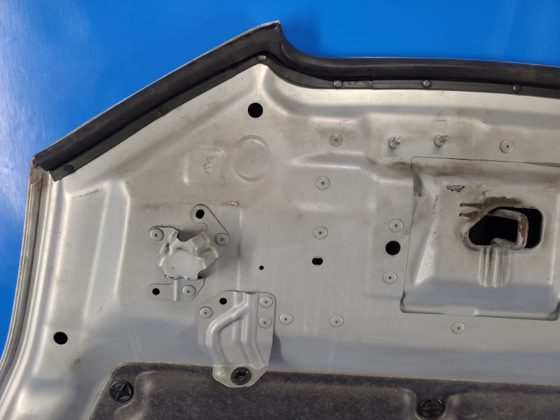 Капот LEAF 10-17