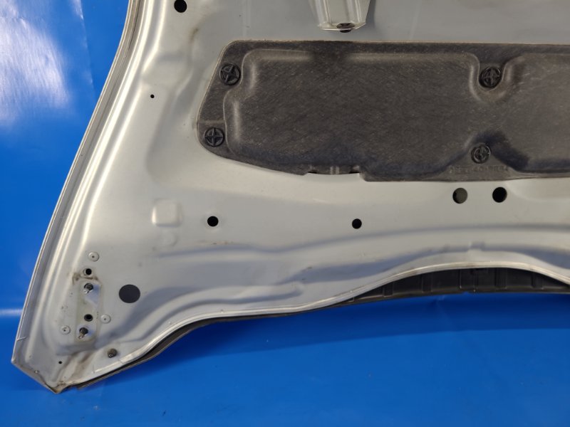 Капот LEAF 10-17