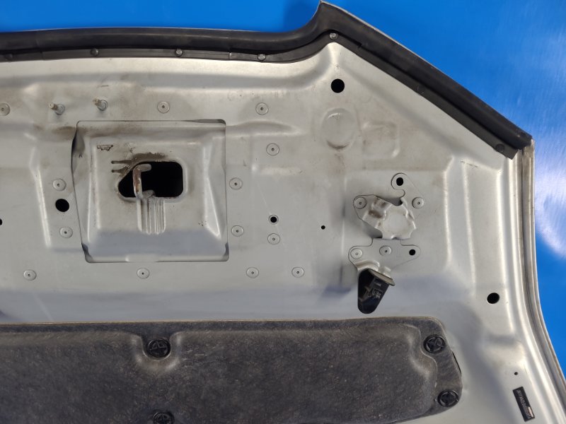 Капот LEAF 10-17