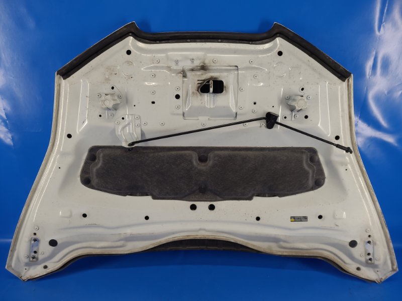 Капот LEAF 10-17