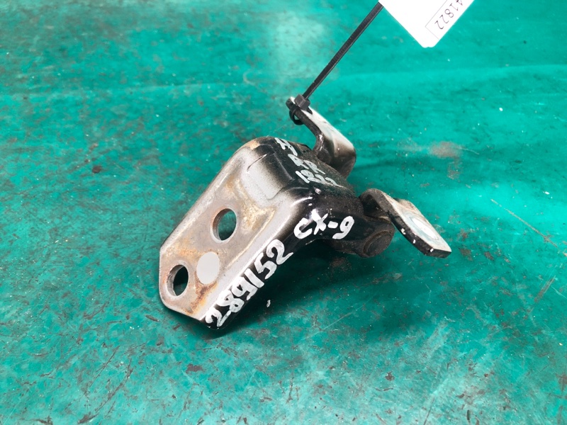 Петля двери нижняя задняя правая MAZDA CX-9 06-16 2007 3.7 D461-72-240 Б/У