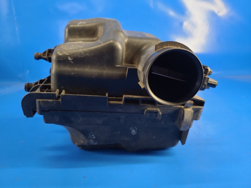 Корпус воздушного фильтра JUKE 10-19