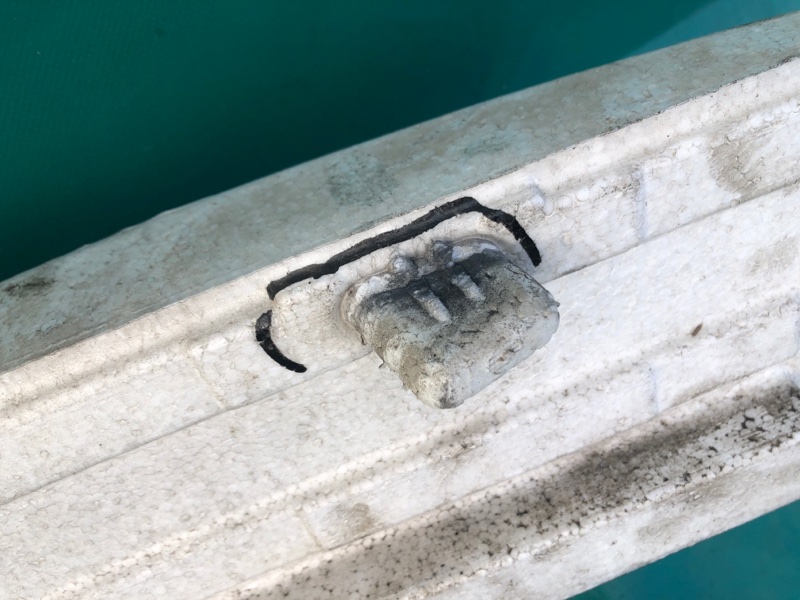 Наполнитель бампера передний OUTBACK 03-09 BP 2005 2.5 EJ253