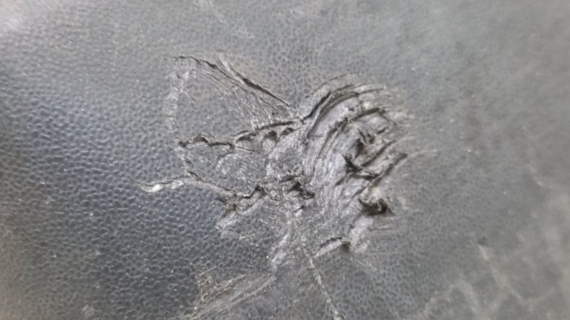 Брызговик передний левый X-TRAIL/ROGUE T32 13-20 2017 2.5 QR25DE