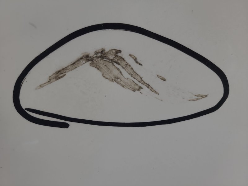 Крыло переднее левое IS250/350 05-13 2013 GSE20L 2.5 4GR-FSE