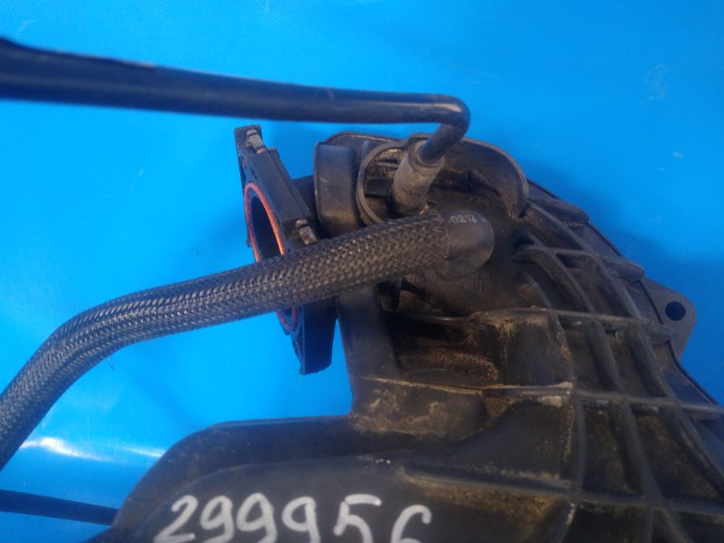 Коллектор впускной 200 10-14 2012 2.4 ED3