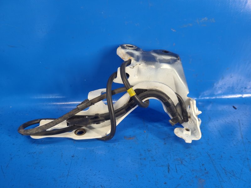 Петля капота левая IS250/350 05-13 2013 GSE20L 2.5 4GR-FSE Петля капота левая IS250/350 05-13 2013 GSE20L 2.5 4GR-FSE