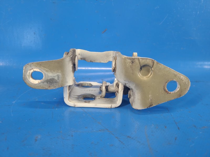 Петля двери нижняя задняя левая 200 10-14 2013 3.6 ERB