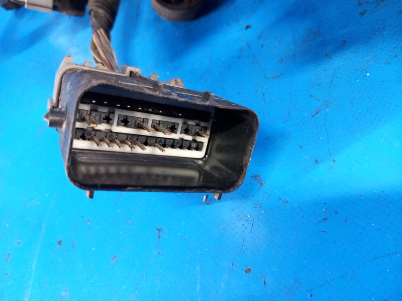 Электропроводка FUSION 14- 2014 C25HDEX