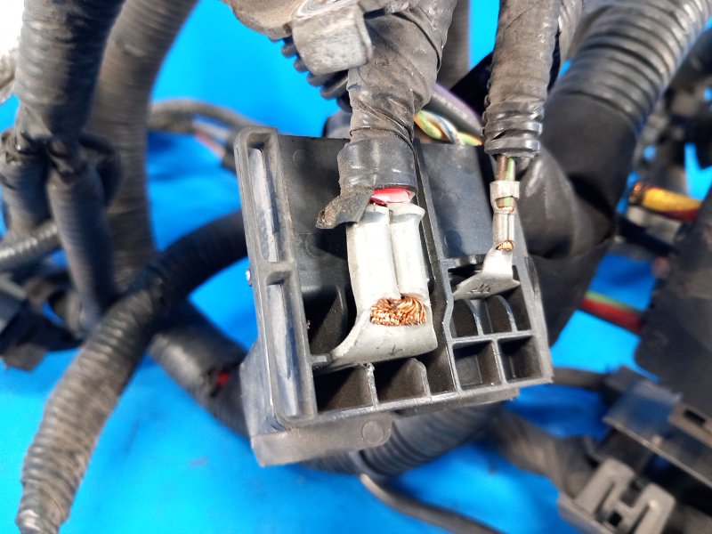 Электропроводка FUSION 14- 2014 C25HDEX