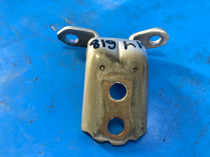 Петля двери нижняя передняя левая PATHFINDER R51 04-14 2004 R51 4.0 VQ40DE