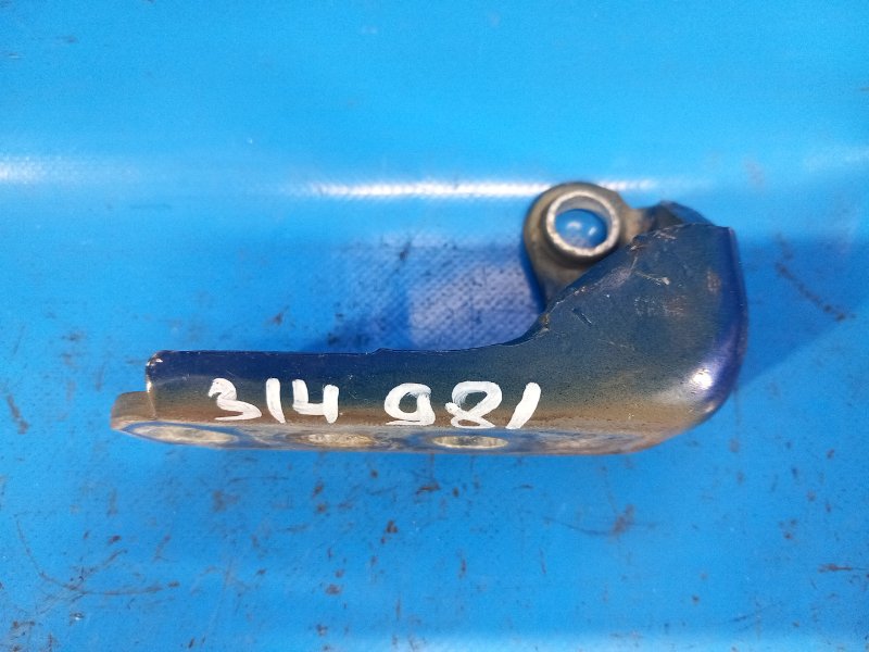 Петля двери верхняя передняя левая FUSION 14- 2014 C25HDEX