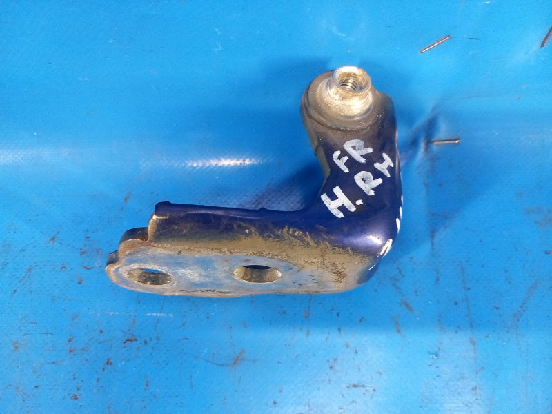 Петля двери нижняя правая FUSION 14- 2014 C25HDEX