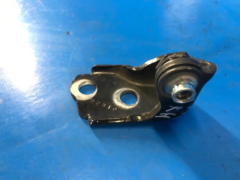 Петля двери нижняя передняя правая MKZ 13-20 2017 C20HDTX 2.0L EcoBoost