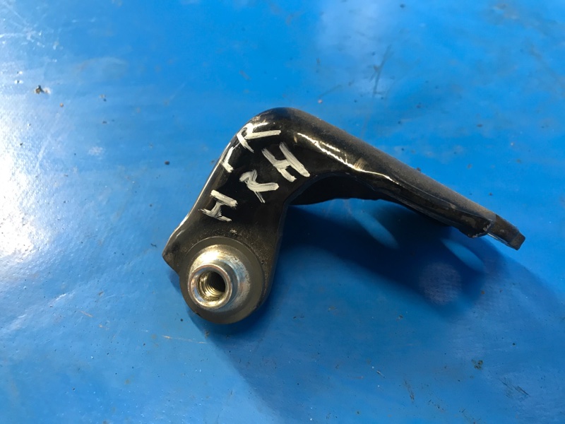 Петля двери нижняя передняя правая MKZ 13-20 2017 C20HDTX 2.0L EcoBoost