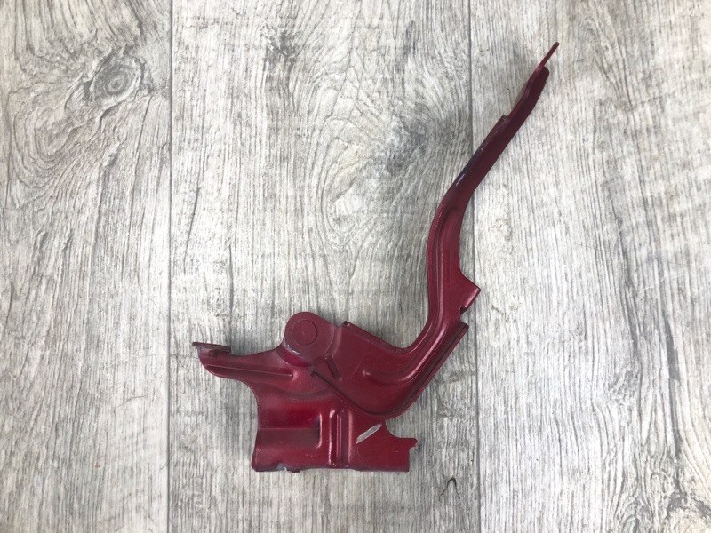 Петля капота левая FORTE/CERATO TD 08-13 2009 TD 2.0 G4KD Петля капота левая FORTE/CERATO TD 08-13 2009 TD 2.0 G4KD