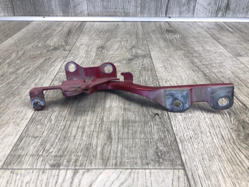 Петля капота левая FORTE/CERATO TD 08-13 2009 TD 2.0 G4KD Петля капота левая FORTE/CERATO TD 08-13 2009 TD 2.0 G4KD