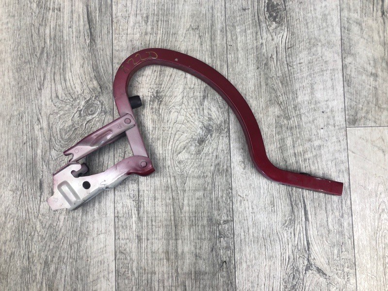 Петля крышки багажника правая FORTE/CERATO TD 08-13 2009 TD 2.0 G4KD