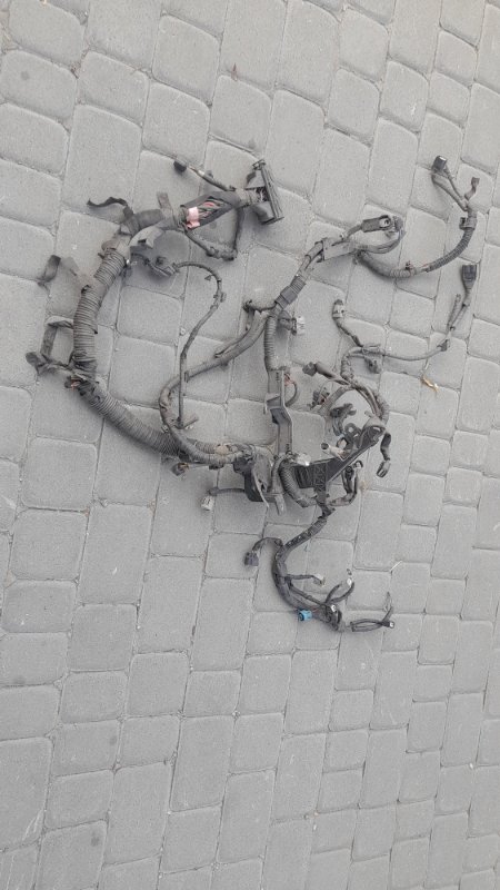 Проводка подкапотная TOYOTA AVENSIS 03-08