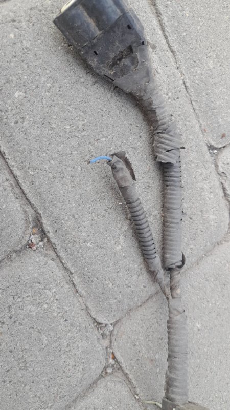 Проводка подкапотная AVENSIS 03-08