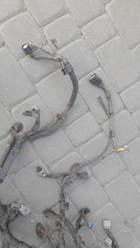 Проводка подкапотная AVENSIS 03-08