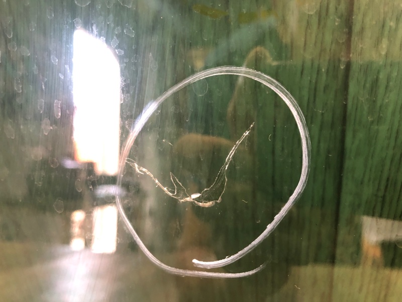 Стекло двери заднее левое TIGUAN 08-17 2011 5N 2.0 CCTA Стекло двери заднее левое TIGUAN 08-17 2011 5N 2.0 CCTA