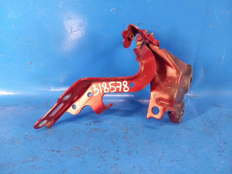 Запчасть петля капота правая LEXUS IS250/350 05-13 2009 GSE21L 3.5 2GR-FSE 5341053020 Б/У Петля капота правая LEXUS IS250/350 05-13 2009 GSE21L 3.5 2GR-FSE 5341053020 Б/У