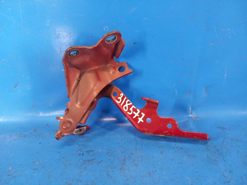 Запчасть петля капота левая LEXUS IS250/350 05-13 2009 GSE21L 3.5 2GR-FSE 5342053020 Б/У Петля капота левая LEXUS IS250/350 05-13 2009 GSE21L 3.5 2GR-FSE 5342053020 Б/У